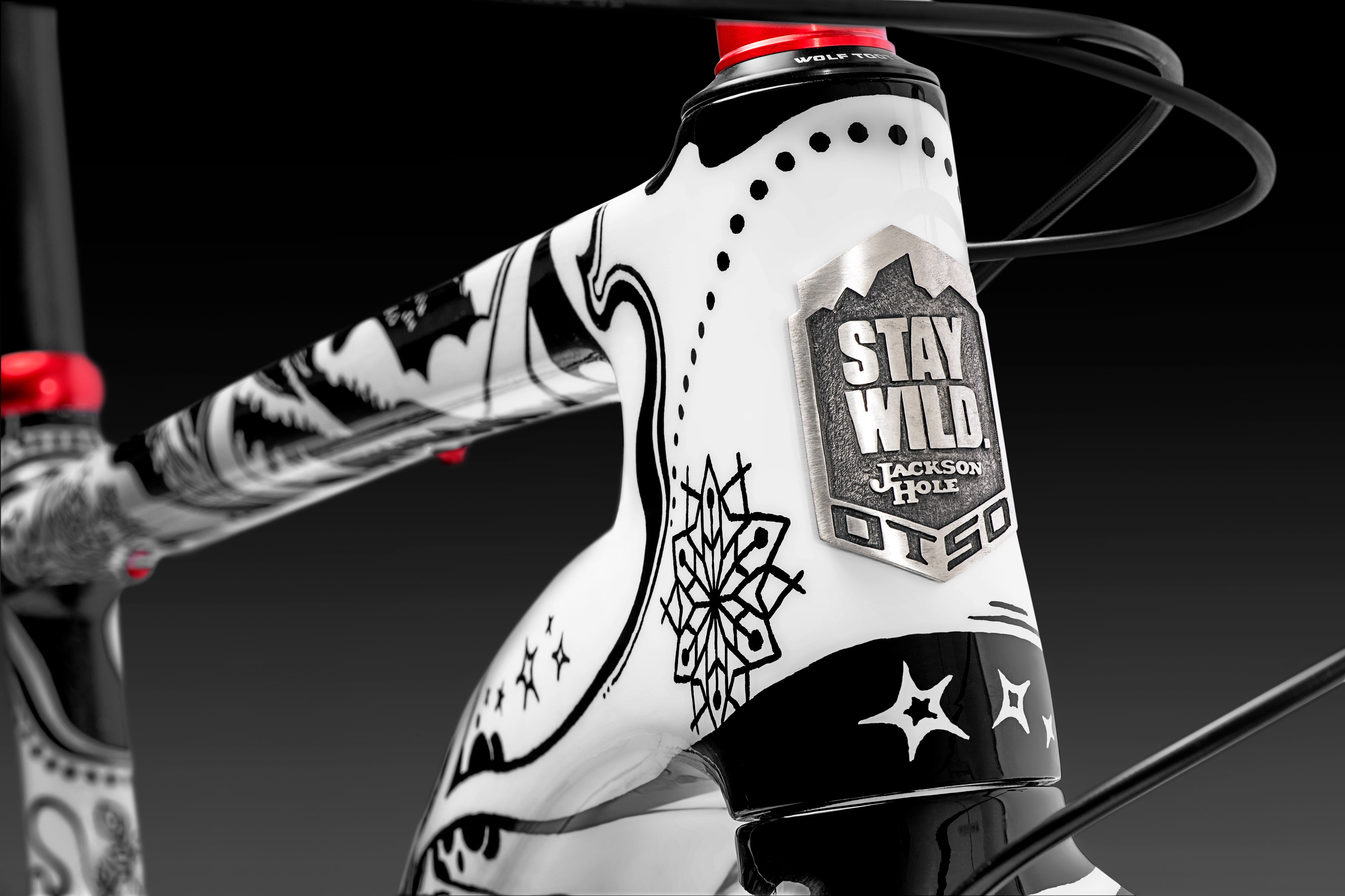 Stay Wild Mountain Bicycle Illustration